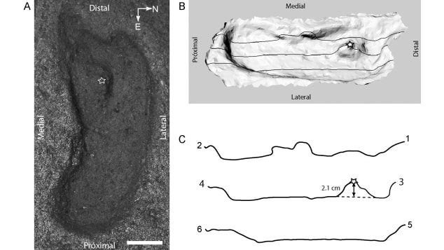 Scientists in Chile have found a 15,000-year-old footprint, the earliest sign of humans’ presence in the Americas