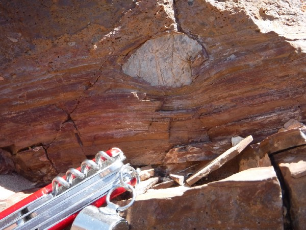 Roy Plotnick: I’m not lying