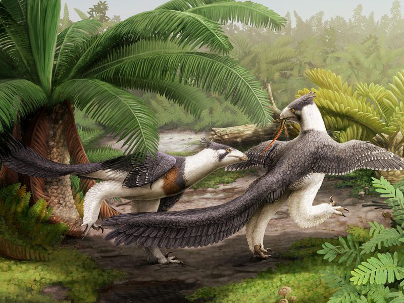 Smithsonian: Discovery of Raptor-Like Dinosaur Adds a New Wrinkle to the Origin of Birds