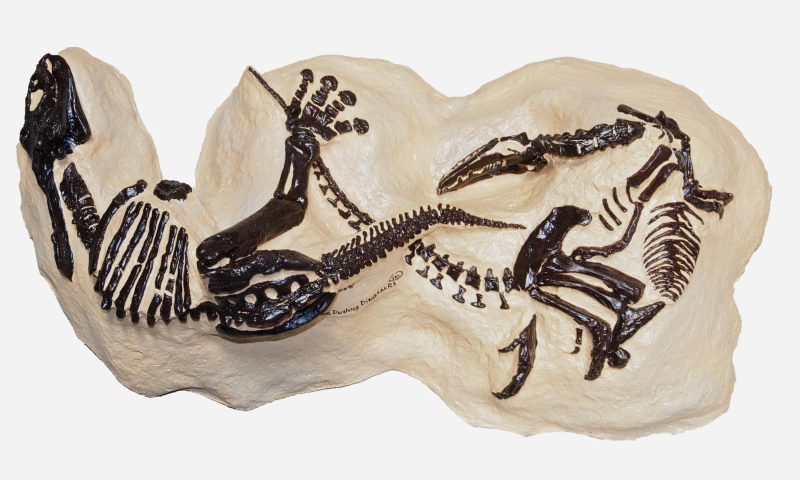 The Guardian: Perhaps the best dinosaur fossil ever discovered. So why has hardly anyone seen it?