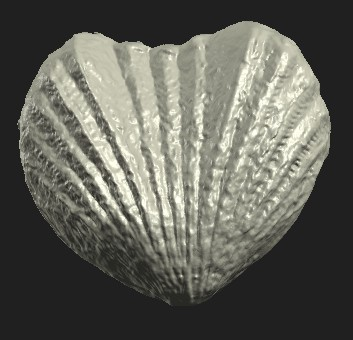 Roy Plotnick: Beyond the hammer and whisk broom: the technology of paleontology