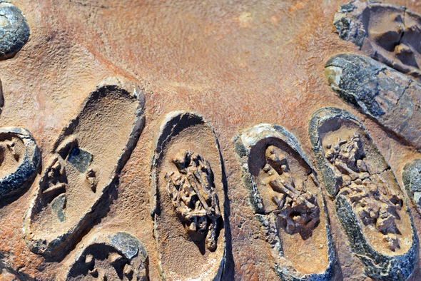 Scientific American: Ancient Mongolian Nests Show Dinosaurs Protected Their Eggs