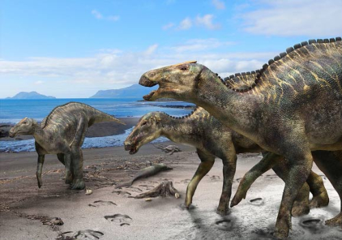 SciNews: New Duck-Billed Dinosaur Unveiled: Kamuysaurus japonicus