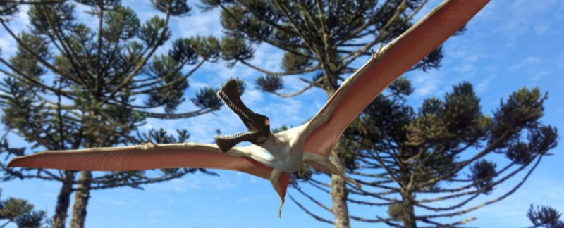 ScienceAlert: A Fossil of a Ginormous Flying Reptile Has Just Been Discovered in Australia