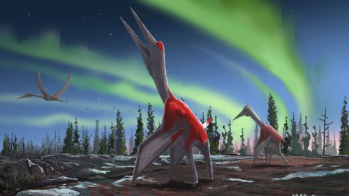 LiveScience: Meet ‘Cold Dragon of the North Winds,’ the Giant Pterosaur That Once Soared Across Canadian Skies