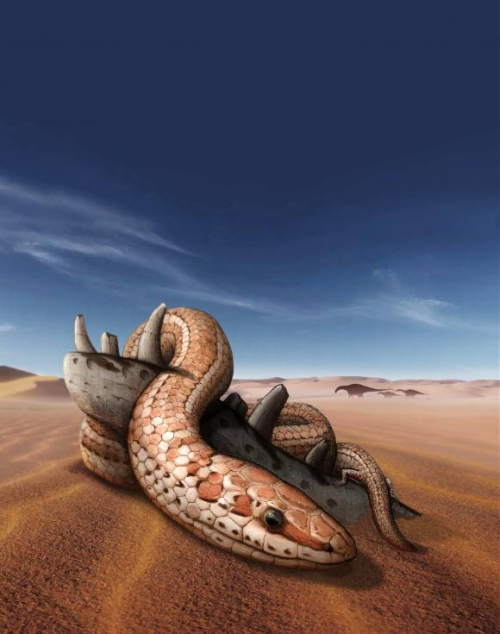 Cretaceous Legged Snake Fossils Shed New Light on Evolution of Modern Snake Body Plan