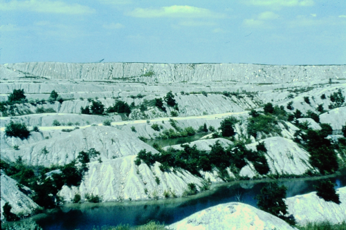 ESCONI Flashback Friday #28: Mazon Creek Open House Report 2002