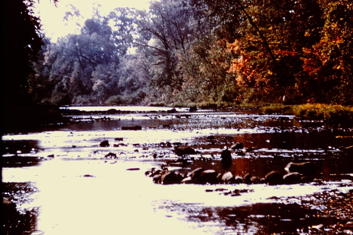 ESCONI Flashback Friday #32: Collecting Mazon Creek Concretions In The 1950s and 1960s