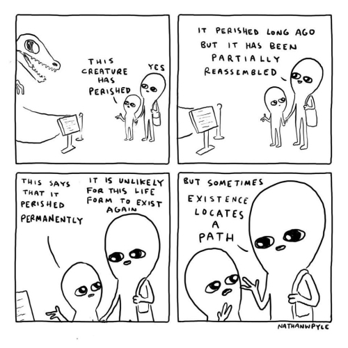 Roy Plotnick: Existence Locates a Path