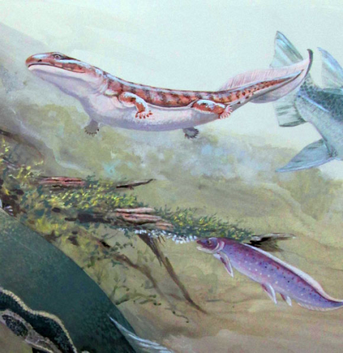 365-Million-Year-Old Lungfish Unearthed in South Africa