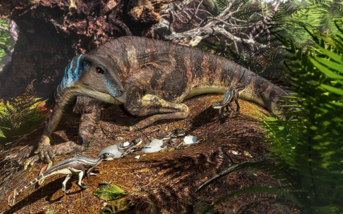 SciNews: Paleontologists Uncover Fossilized Remains of Baby Ornithopod Dinosaurs in Australia