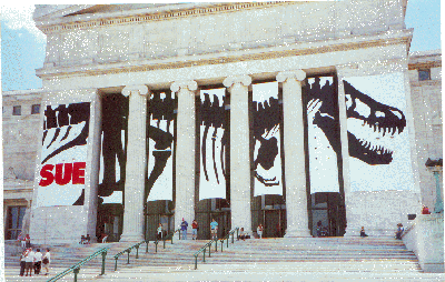 ESCONI Flashback Friday #36: SUE at the Field Museum
