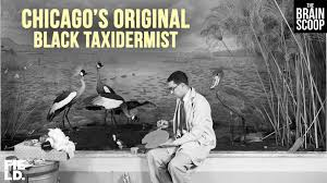The Brain Scoop: Carl Cotton: Chicago’s Original Black Taxidermist