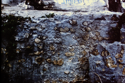 ESCONI Flashback Friday #43: Field Trip To Rosiclare, IL For Fluorite