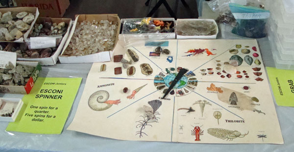Throwback Thursday #5: ESCONI Juniors Booth at the Gem, Mineral, and Fossil Show