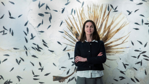 Quanta: A Rapid End Strikes the Dinosaur Extinction Debate