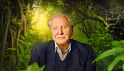 AMNH: Sir David Attenborough on Museum Collections – 360