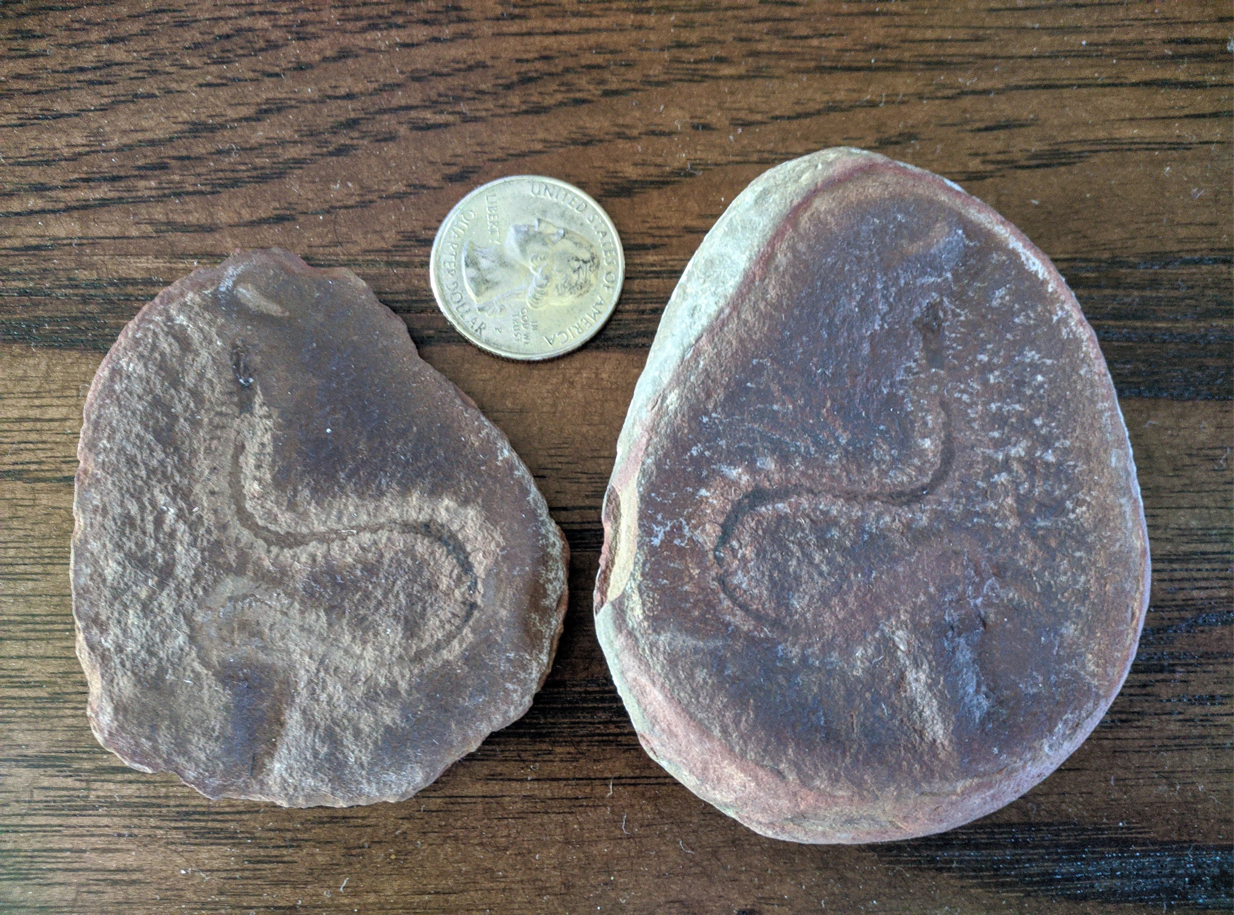 Mazon Monday #6: Esconites zelus