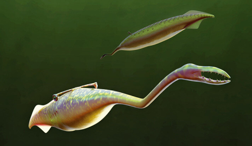 Mazon Monday #7: Ancient ‘Tully monster’ was a vertebrate, not a spineless blob, study claims