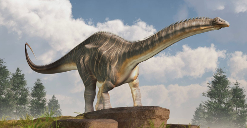 Brontosaurus : reinstating a prehistoric icon