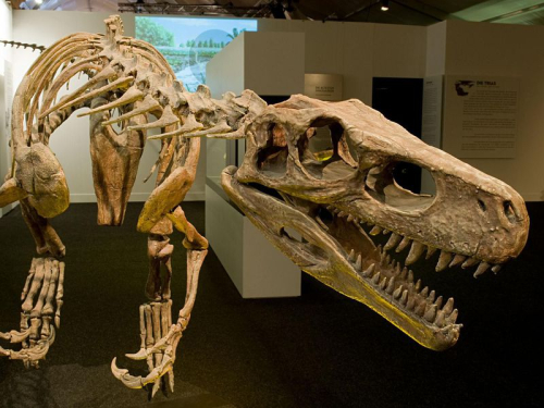 The Rise of Meat-Eating Dinosaurs Is More Complicated Than We Thought