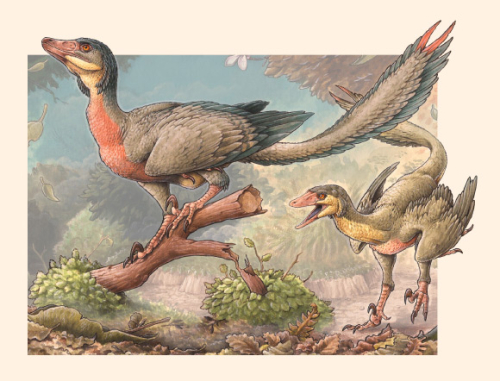 New Bird-Like Dinosaur Discovered: Overoraptor chimentoi