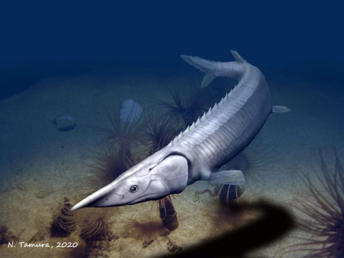 “Enigmatic and Strange” – 300-Million-Year-Old Fish Resembles a Sturgeon, but With Key Differences