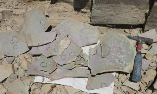 Trilobite Tuesday #16: Growing up trilobite