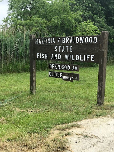 Mazon Monday #22: Pit 11