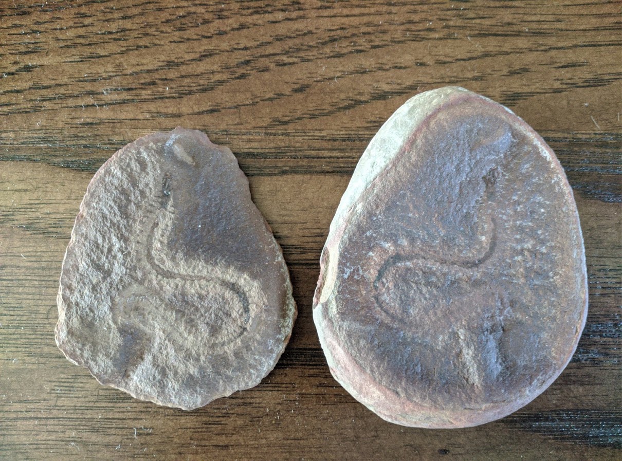 Mazon Monday #20: Fossil Preservation