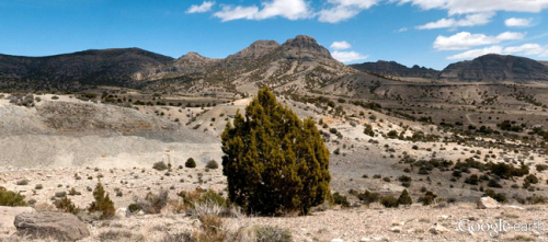 Trilobite Tuesday #24: Fossils In Millard County, Utah by Rich Holm