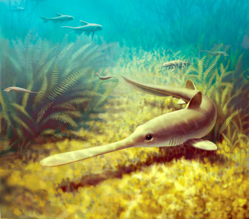 Reminder: ESCONI September 2020 General Meeting – September 11th, 2020 at 8:00 PM via Zoom – “Carboniferous Fossils Reveal How Fishes Evolve, and How They Don’t”