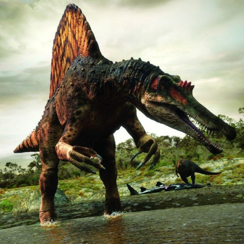 BBC: Spinosaurus dinosaur was ‘enormous river-monster’, researchers say