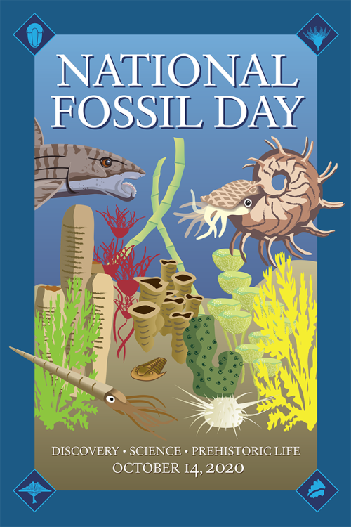 Happy National Fossil Day 2020!!!