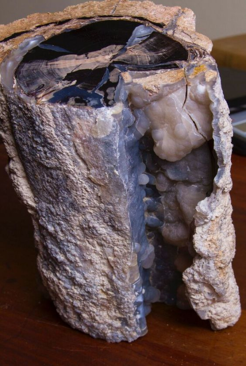 Reminder with Zoom Link: ESCONI October 2020 General Meeting – October 9th, 2020, at 8:00 PM via Zoom – “The Blue Forest of Ancient Lake Gosiute”