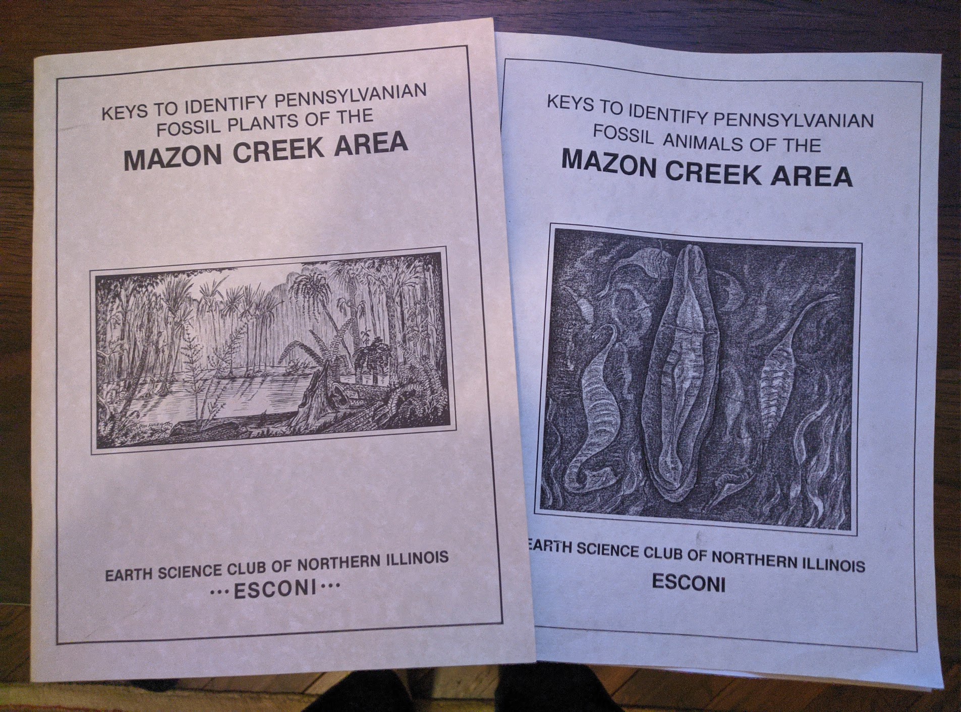 Mazon Monday #32: ESCONI books – Keys to Identify Pennsylvanian Fossil Plants and Animals