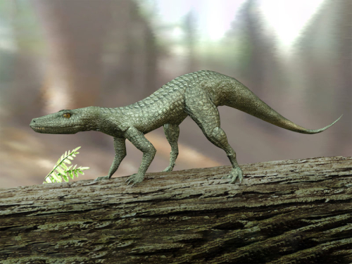 Eos: A Little-Known Mass Extinction and the “Dawn of the Modern World”