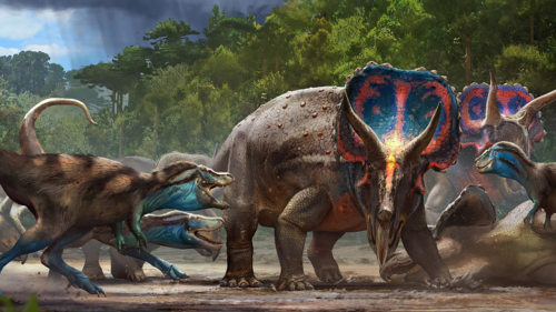 LiveScience: Cretaceous cold case of ‘dueling’ T. rex and Triceratops may finally be solved