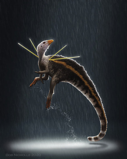 SciNews: Cretaceous Dinosaur Had Impressive Mane and Shoulder Ribbons