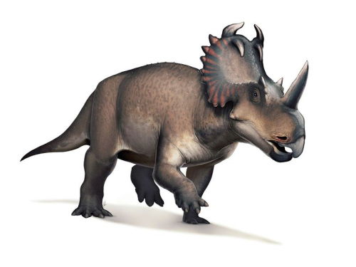 Smithsonian: The Top Ten Dinosaur Discoveries of 2020