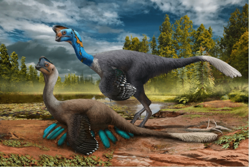 Researchers Announce World’s First Dinosaur Preserved Sitting On Nest of Eggs With Fossilized Babies