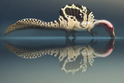 NYT: Was This Dinosaur More Subaquatic Killer or Giant Wading Bird?