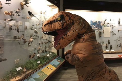 Field Museum: SUE Science Saturdays: Prehistoric Party January 23rd. 2021 10am-12pm