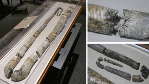 ESCONI January 2021 Paleontology Meeting – January 16th, 2021 at 7:30 PM via Zoom – “Giant Heteromorph Ammonites”