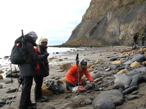 Reminder: ESCONI February 2021 Paleontology Meeting – February 20th, 2021 at 7:30 PM via Zoom – “Ammonite Fields Forever”