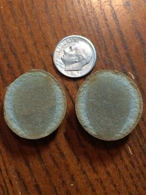 Fossil Friday #43: Lung Fish Scales From Mazon Creek