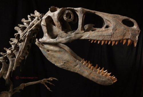 NPR: Utah Considers State Park Named For Utahraptor Dinosaur