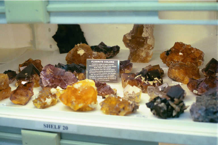 Throwback Thursday #52: FIELD TRIP LIST – 2002