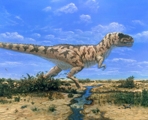 NYT: How Many Tyrannosaurus Rexes Ever Lived on Earth? Here’s a New Clue