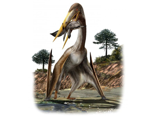 Unique Bone Structure Helped Long-Necked Pterosaurs Fly